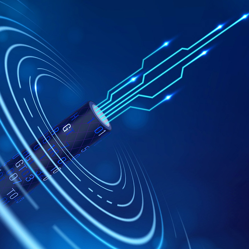 Lianou Electric представляет инновационную продукцию на Международной выставке электротехники, возглавляя экологический тренд